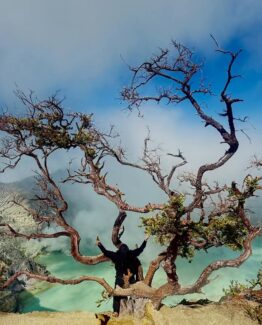 Surabaya – Bromo – Ijen – Banyuwangi 3D2N 2