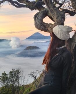 2D1N Surabaya – Mount Bromo – Surabaya Private Tour